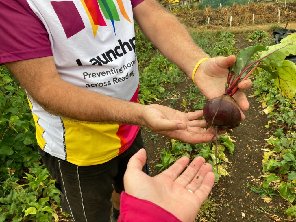 Holding beetroot