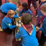 Beavers packing boxes for SWEP