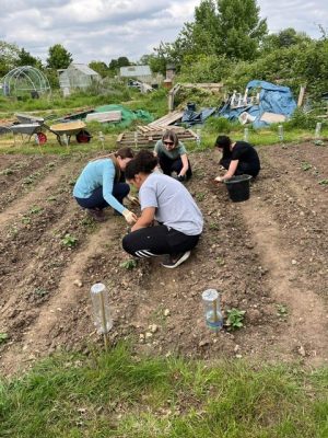 Group of adults preparing the ground on our allotment