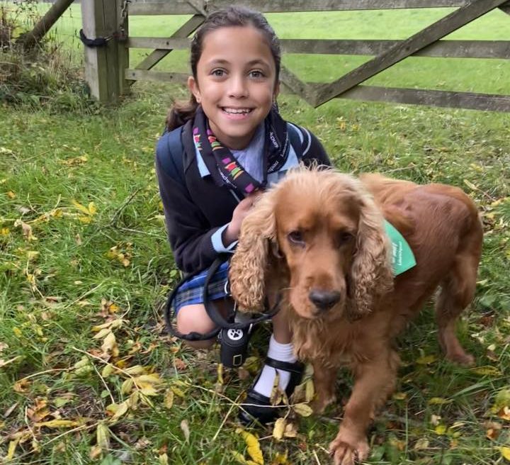 Girl with brown cocker spaniel dog